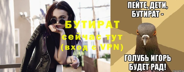 индика Волоколамск