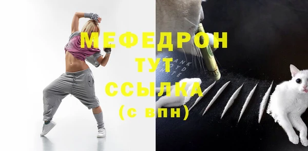 индика Волоколамск