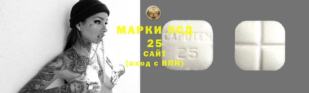 МДПВ Володарск