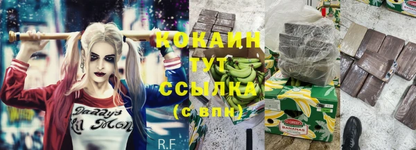 индика Волоколамск