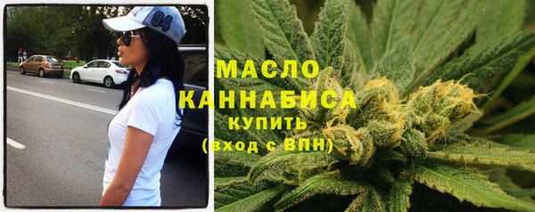 индика Волоколамск