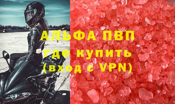индика Волоколамск