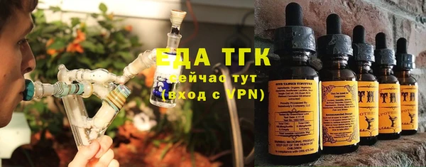 индика Волоколамск