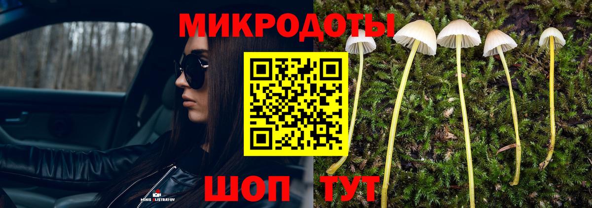 хочу наркоту  Вход с VPN  Туймазы  Галлюциногенные грибы Psilocybine cubensis 