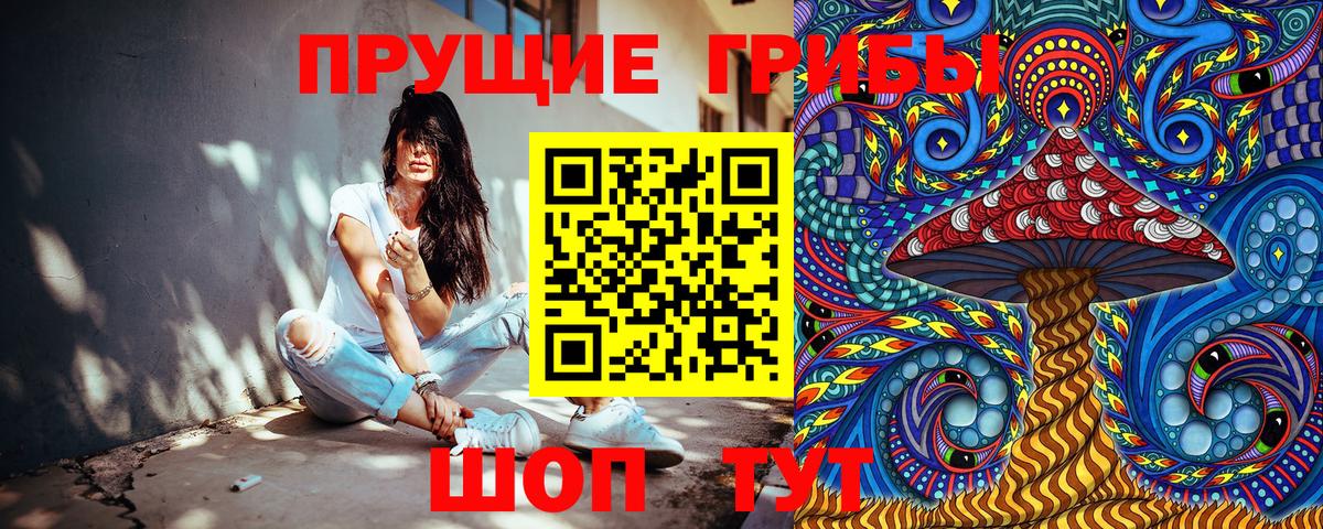 Галлюциногенные грибы Psilocybine cubensis Туймазы